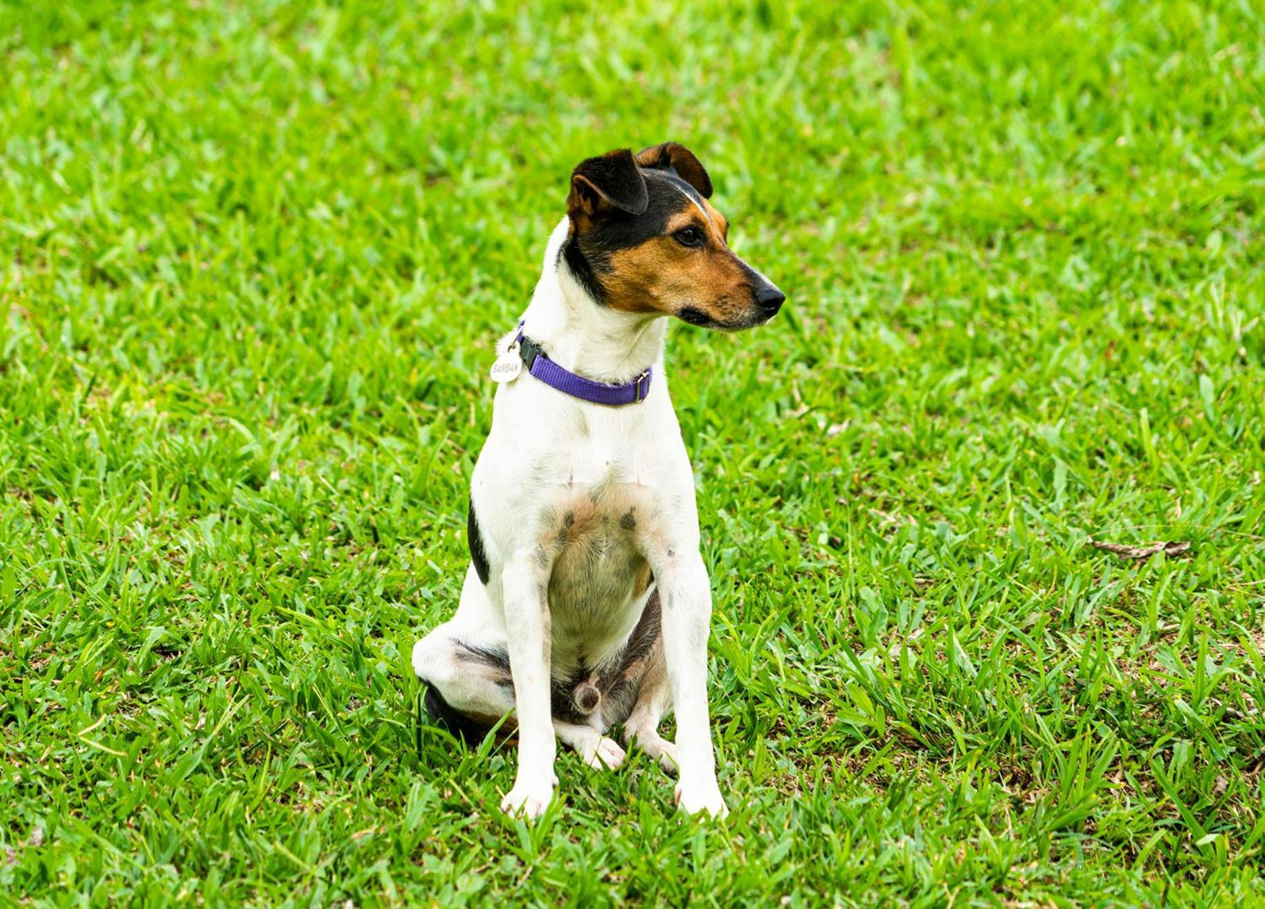 Aldea Sabatinga Villa Manizales Eksteriør bilde