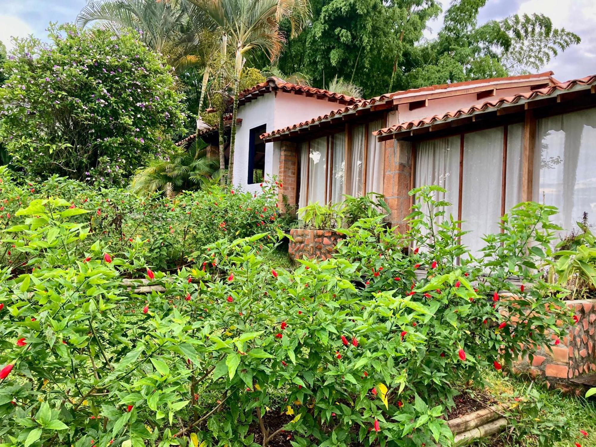 Aldea Sabatinga Villa Manizales Eksteriør bilde