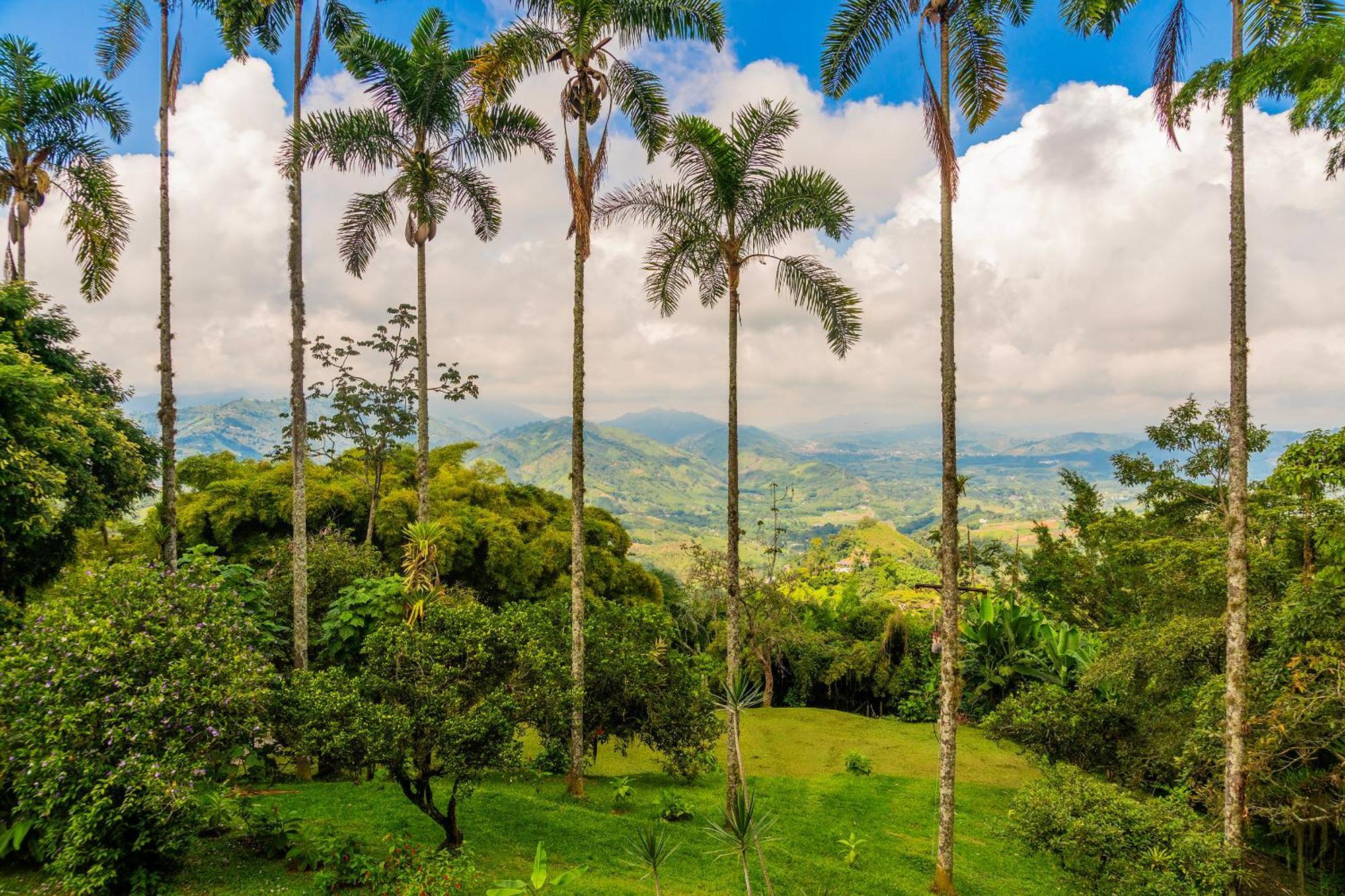 Aldea Sabatinga Villa Manizales Eksteriør bilde