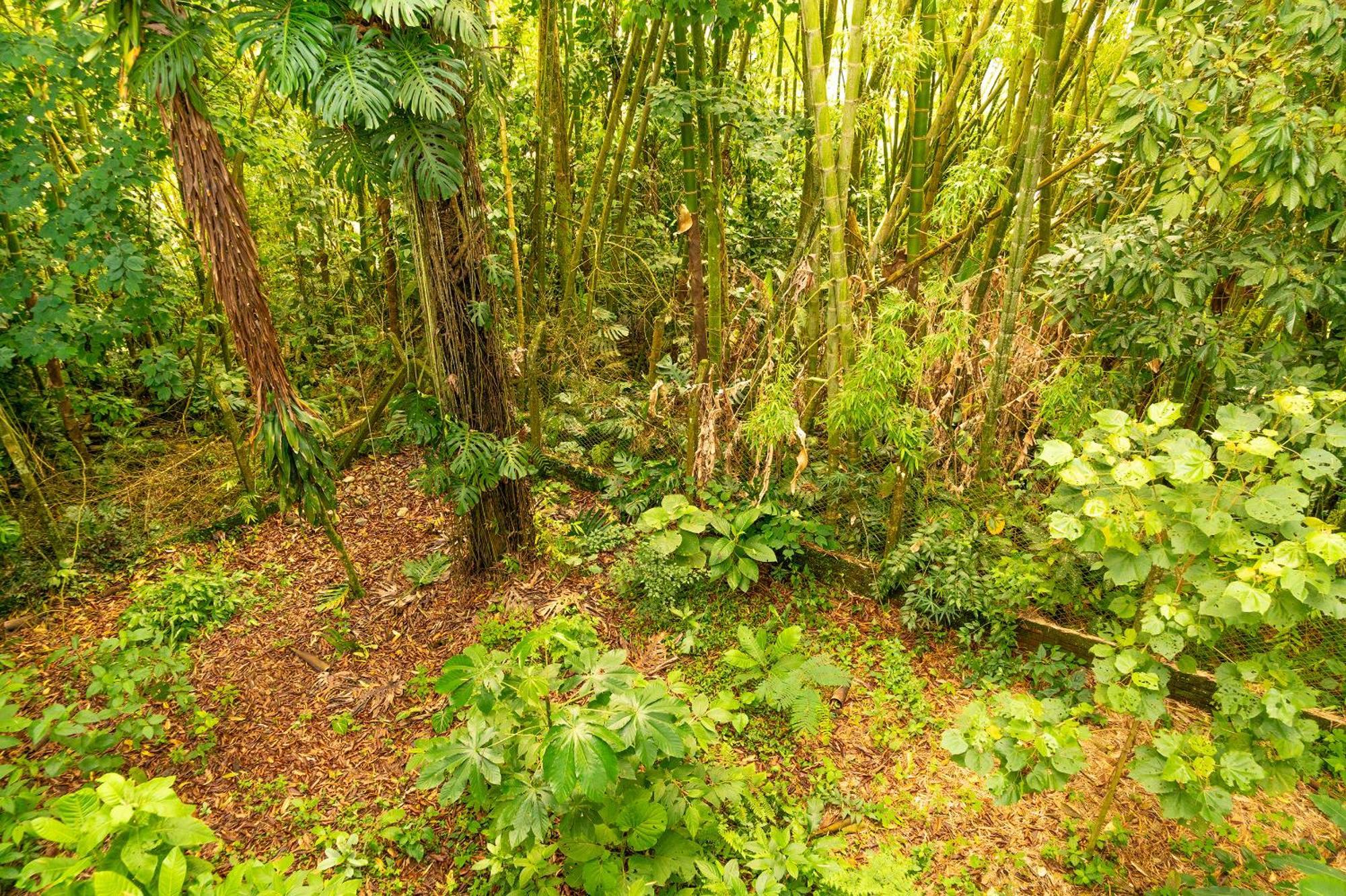 Aldea Sabatinga Villa Manizales Eksteriør bilde