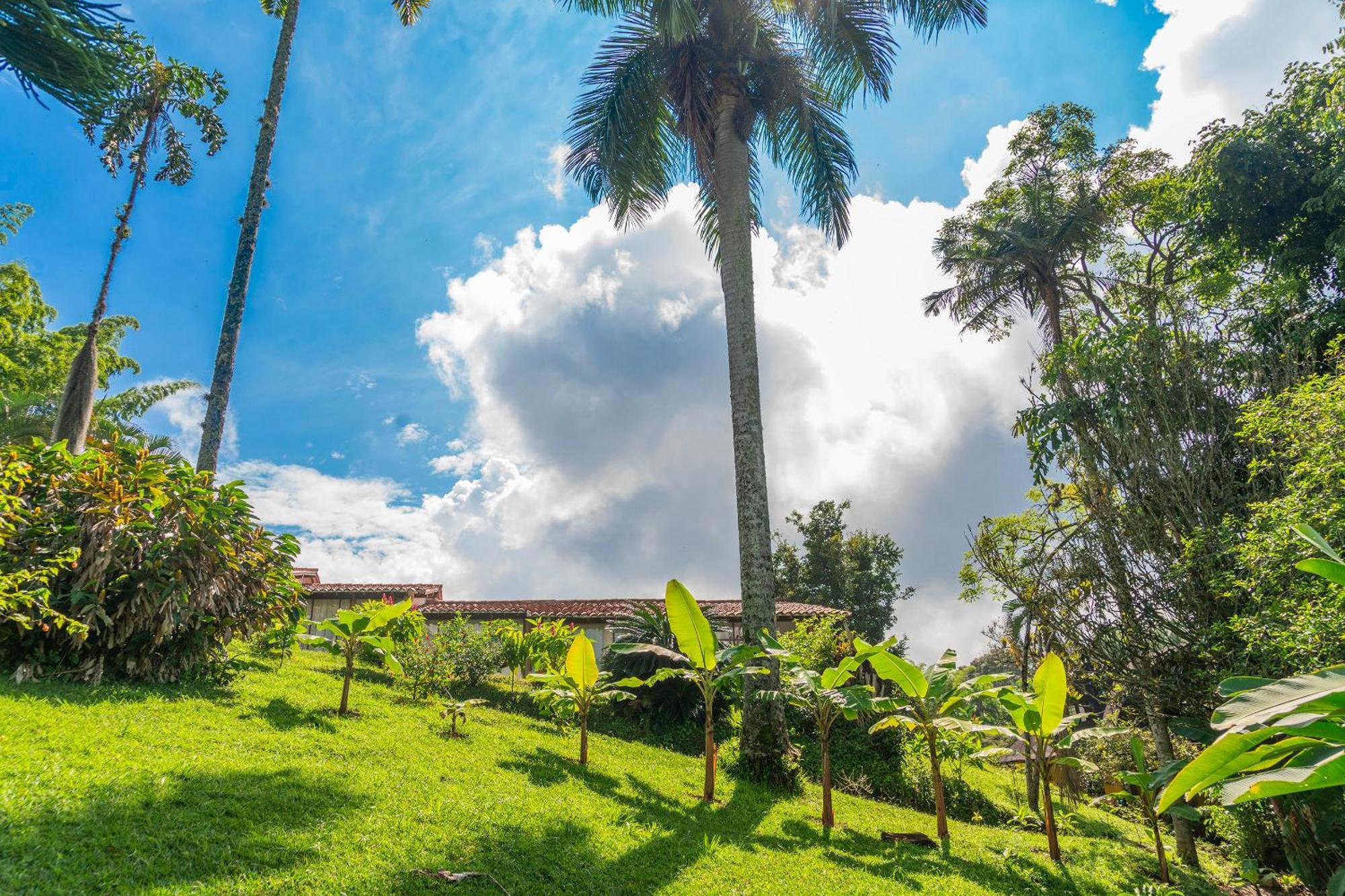 Aldea Sabatinga Villa Manizales Eksteriør bilde