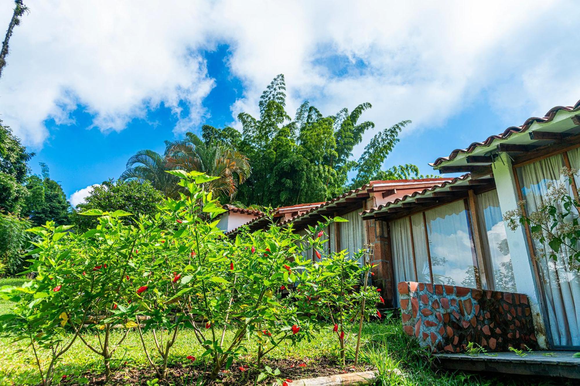 Aldea Sabatinga Villa Manizales Eksteriør bilde