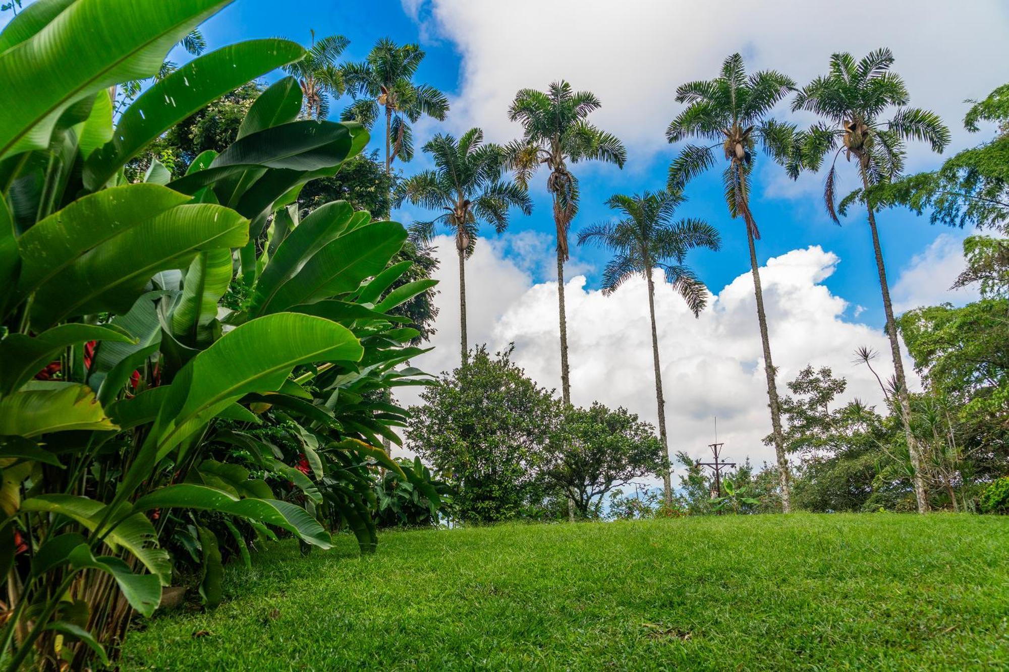 Aldea Sabatinga Villa Manizales Eksteriør bilde